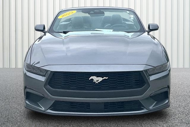 Used 2025 Ford Mustang Premium RWD image 3