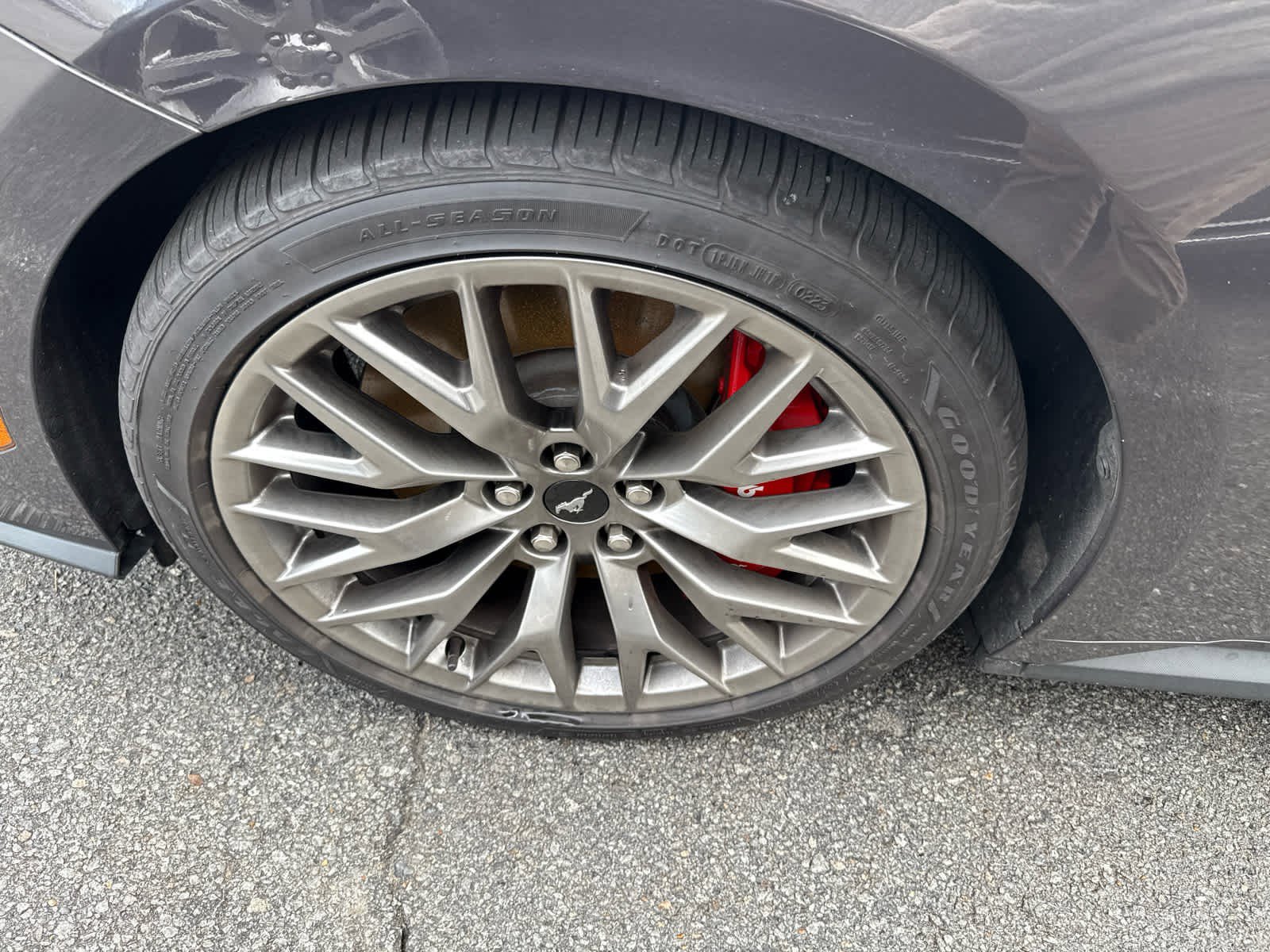 Used 2024 Ford Mustang GT Premium image 6