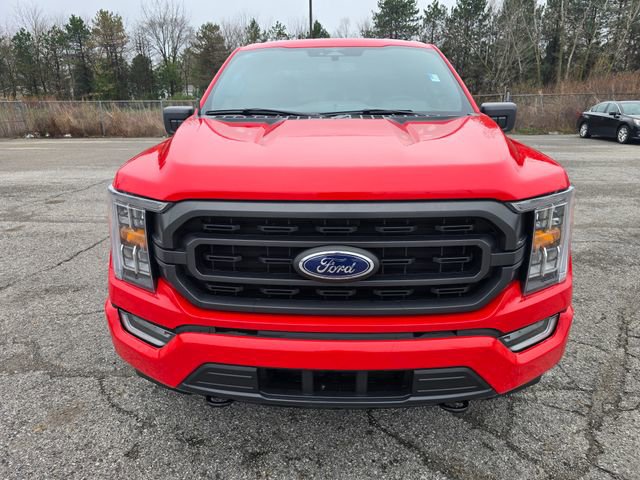 Used 2023 Ford F150 XLT w/ Equipment Group 302A High image 8