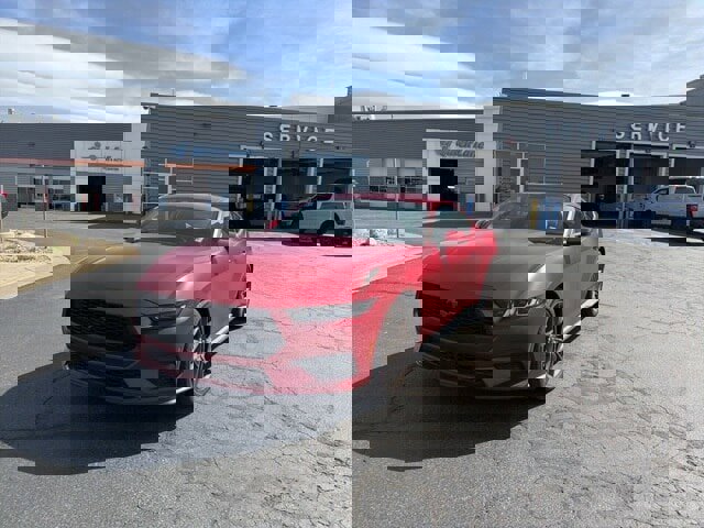 New 2024 Ford Mustang Premium image 2