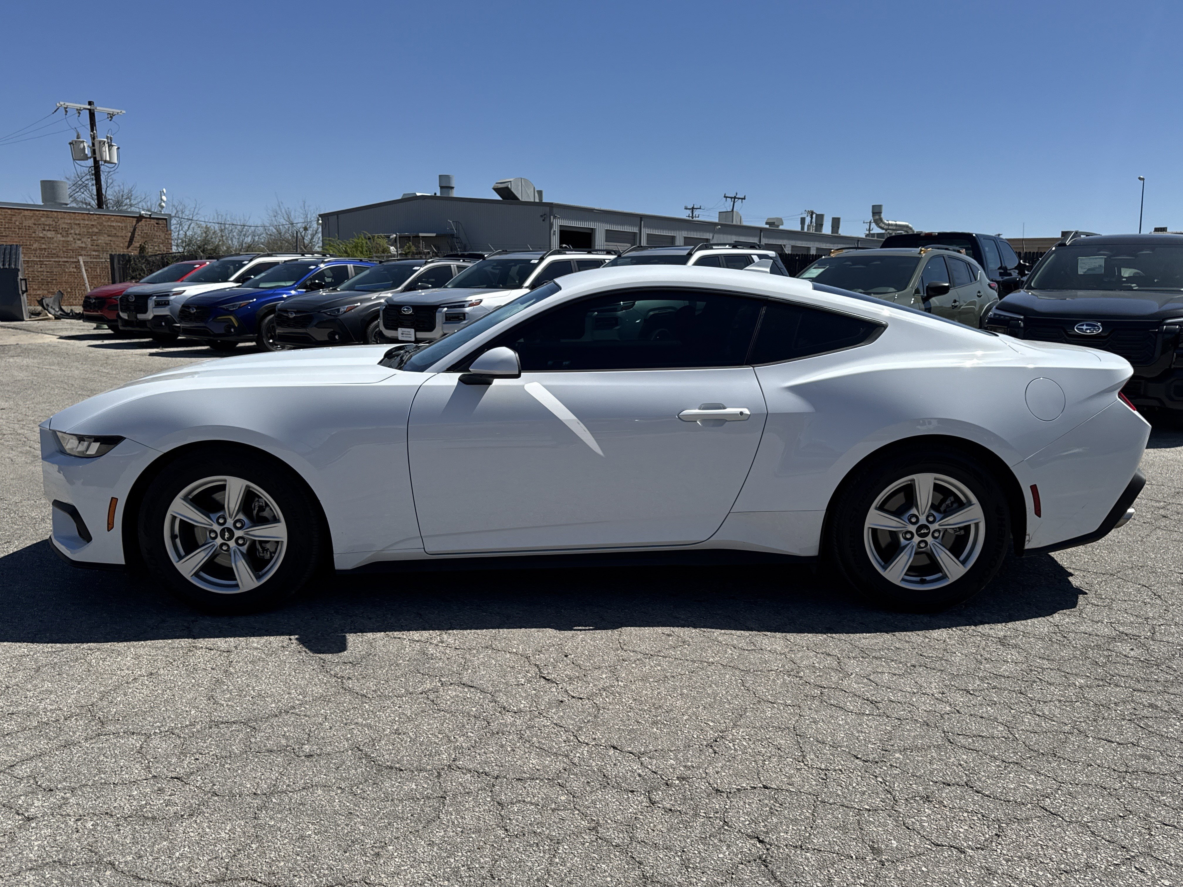 Used 2024 Ford Mustang EcoBoost image 6