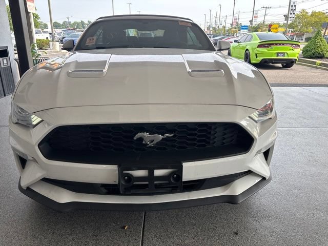 Used 2019 Ford Mustang Premium