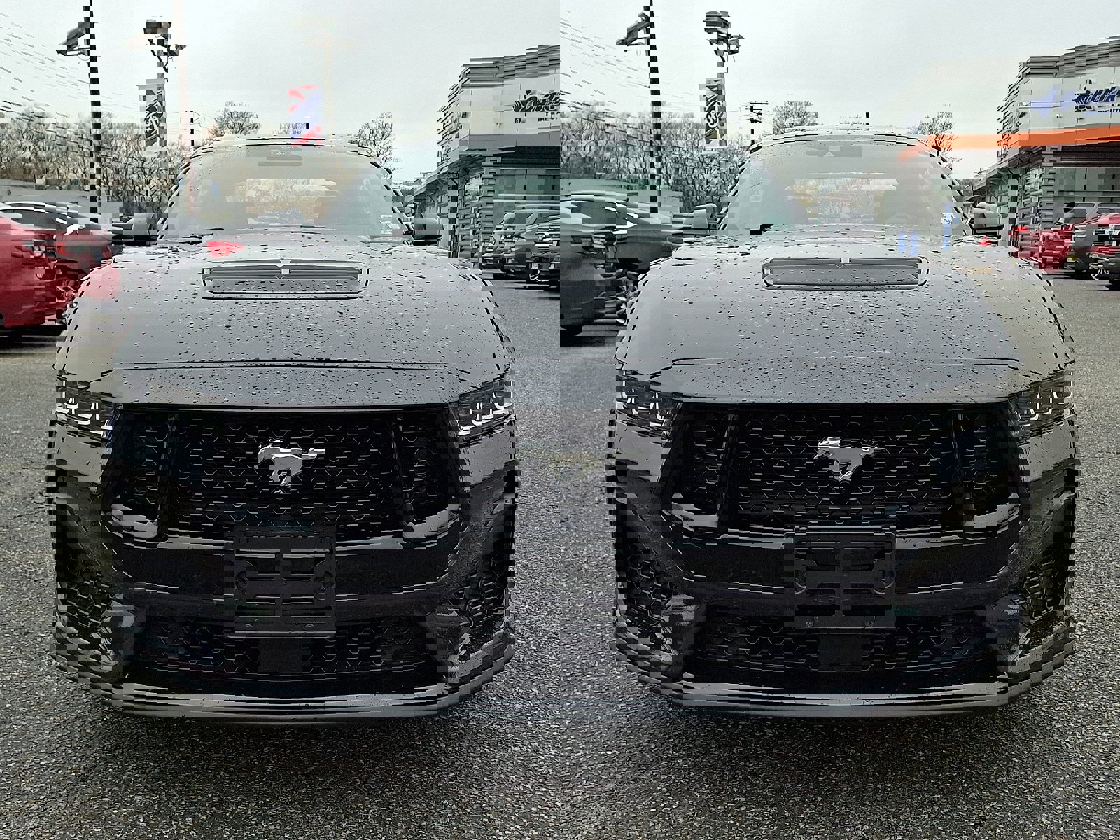 Certified 2024 Ford Mustang GT Premium image 2