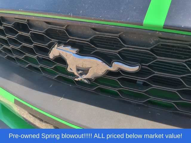 Used 2019 Ford Mustang Premium w/ Ecoboost Performance Package RWD image 9