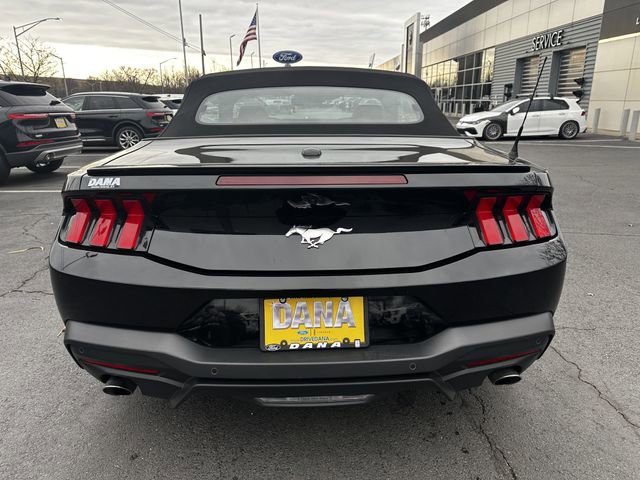 Certified 2025 Ford Mustang Premium image 6