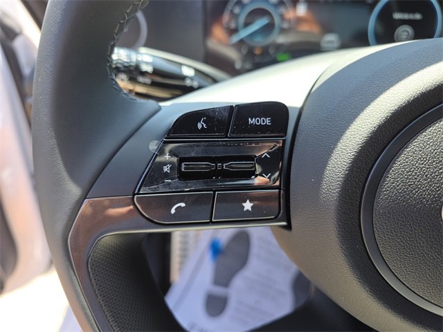 New 2025 Hyundai Elantra SEL w/ Cargo Package image 25