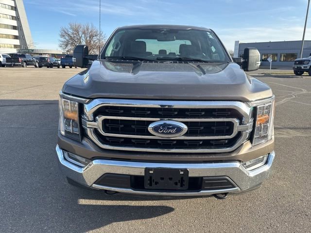 Used 2023 Ford F150 XLT w/ Equipment Group 302A High image 5