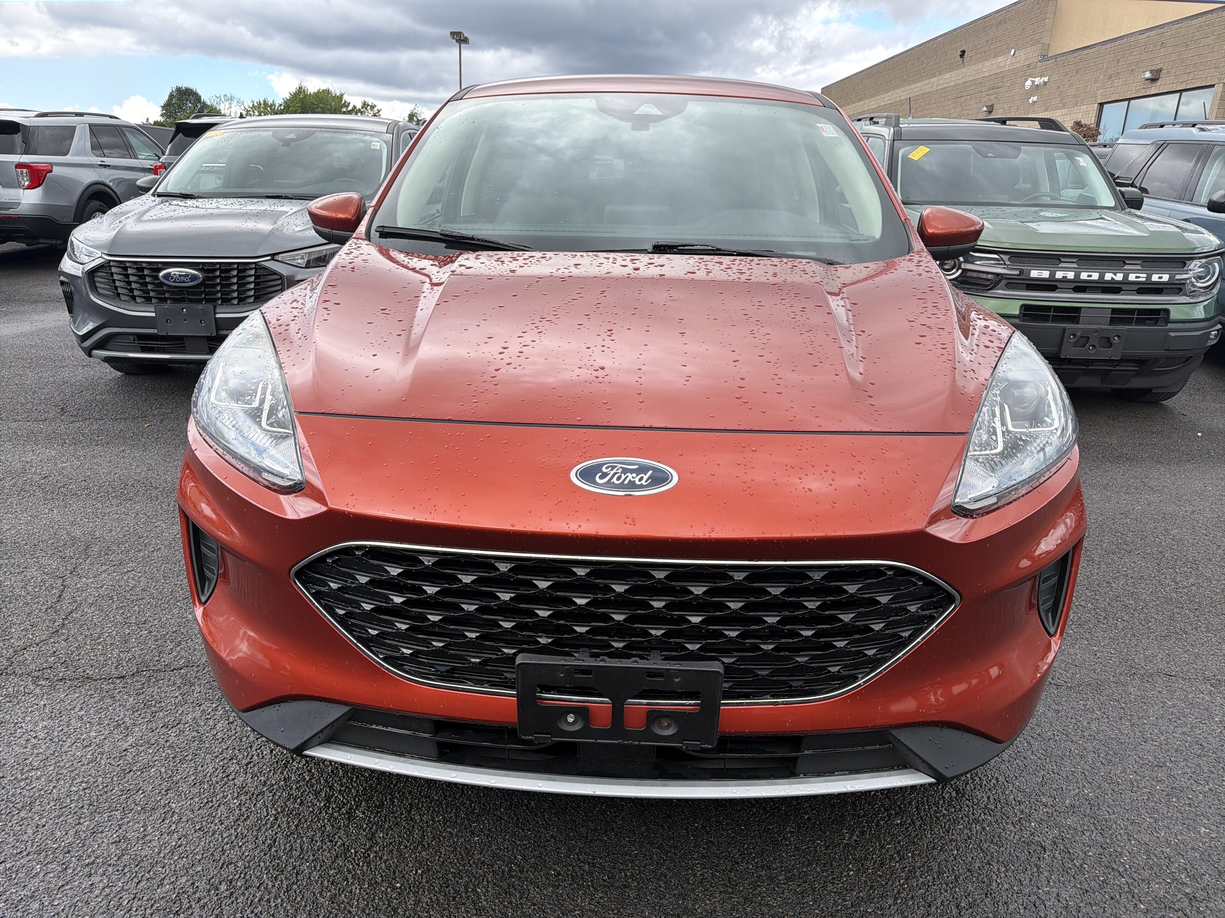 Used 2020 Ford Escape SE AWD/4WD image 3