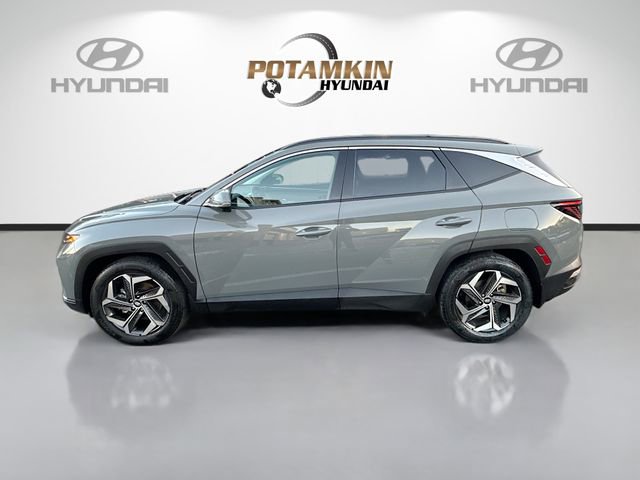 Used 2024 Hyundai Tucson Limited image 8