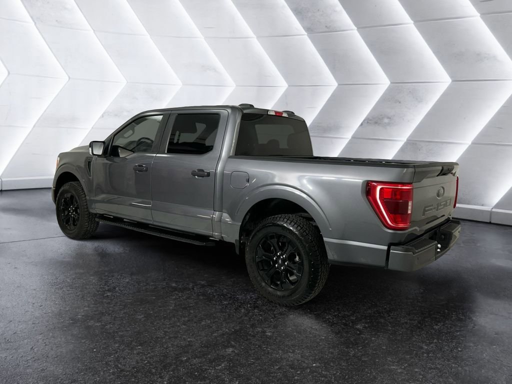 Used 2022 Ford F150 XL w/ STX Black Appearance Package RWD image 6
