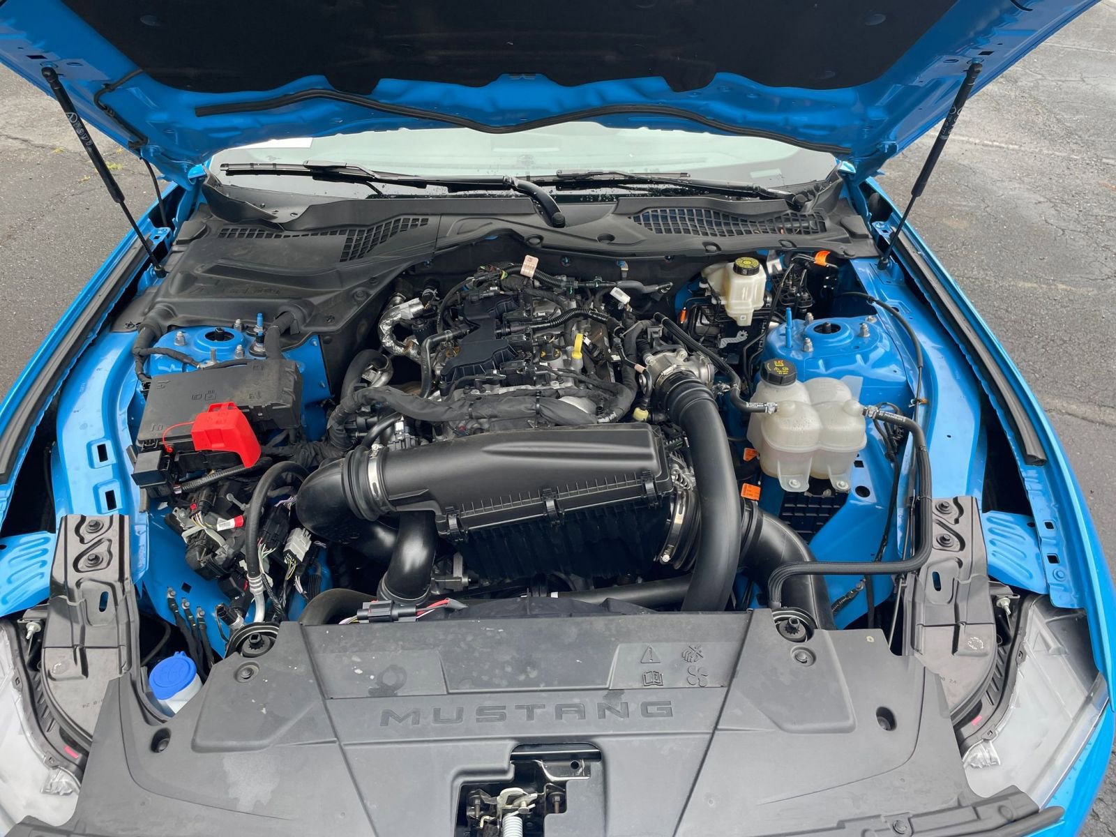 Used 2024 Ford Mustang Premium image 31