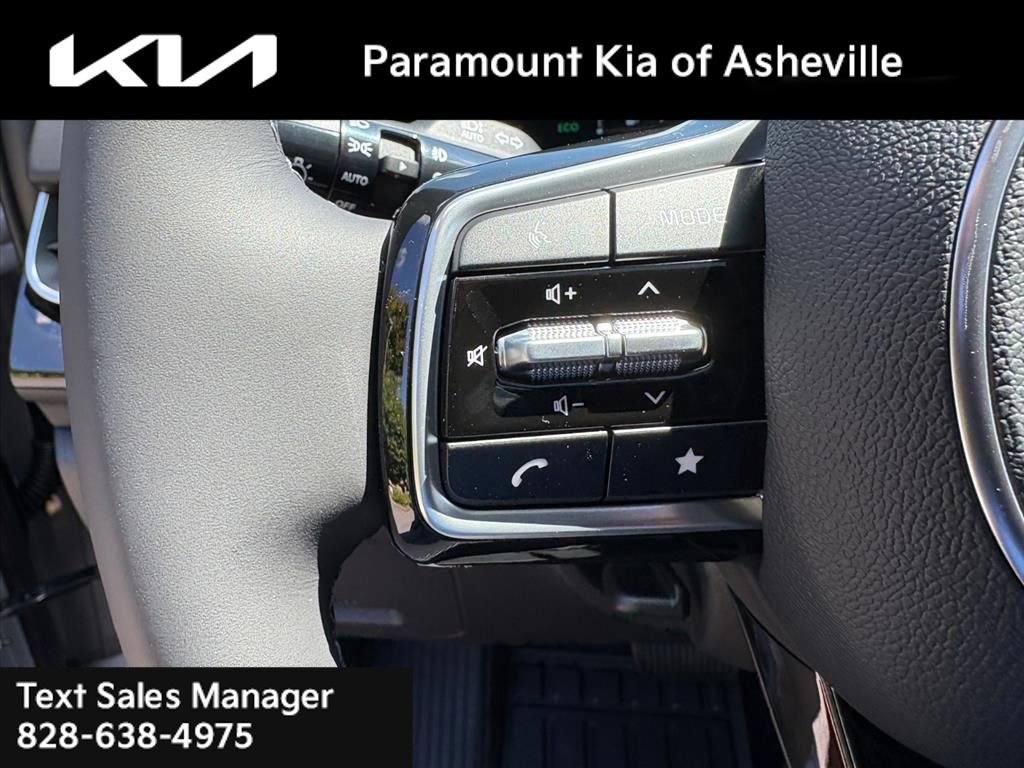 New 2026 Kia Carnival SX Prestige image 14