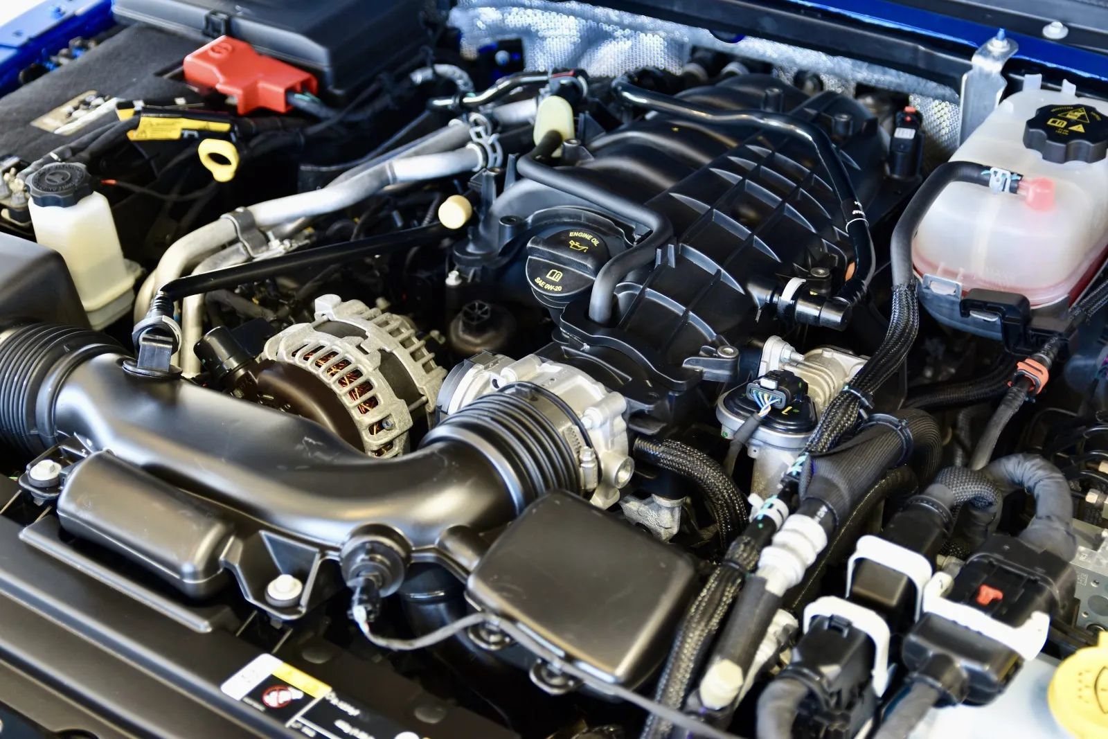 Used 2024 Jeep Wrangler Willys image 29
