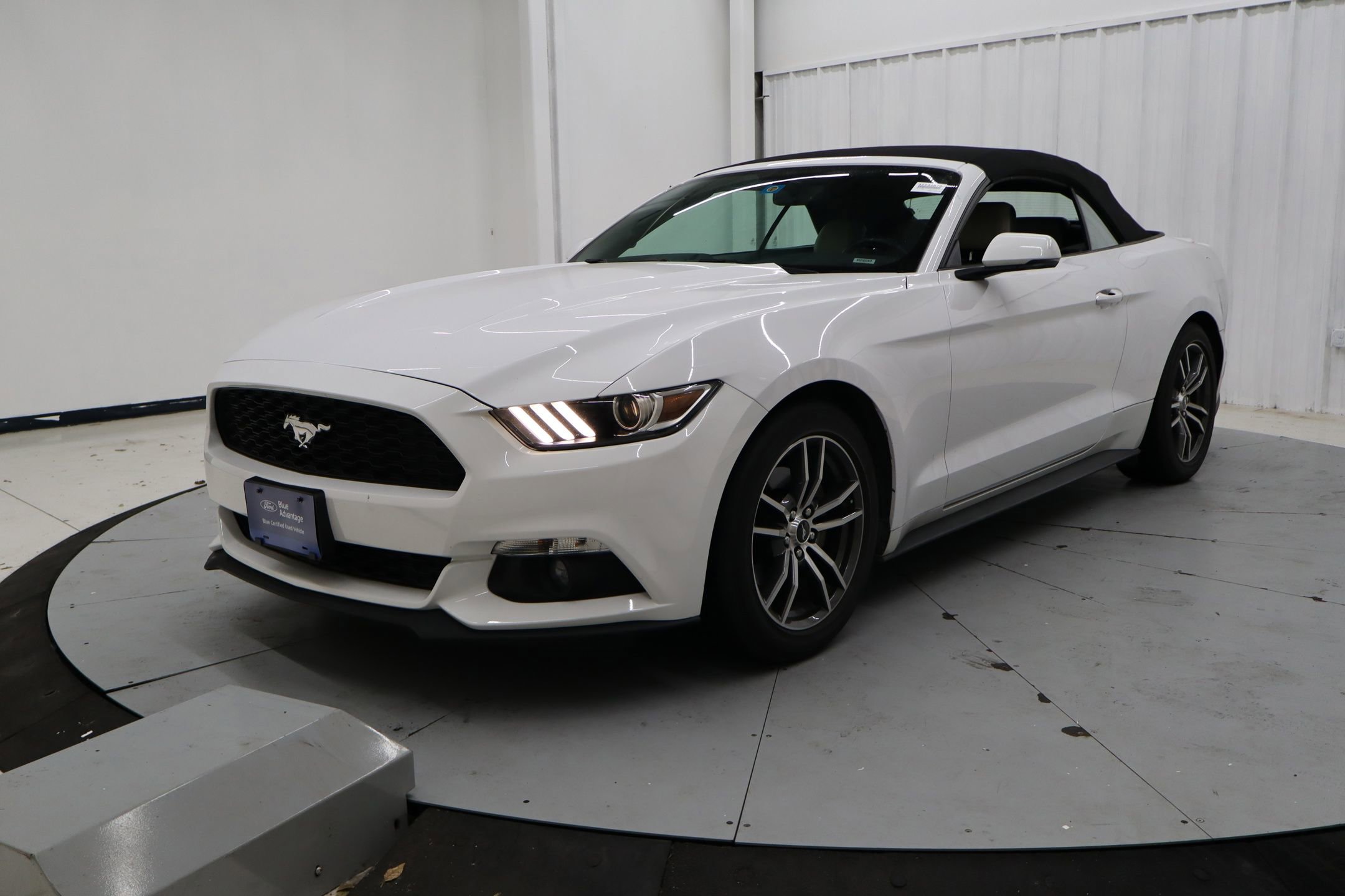 Certified 2017 Ford Mustang Premium image 10