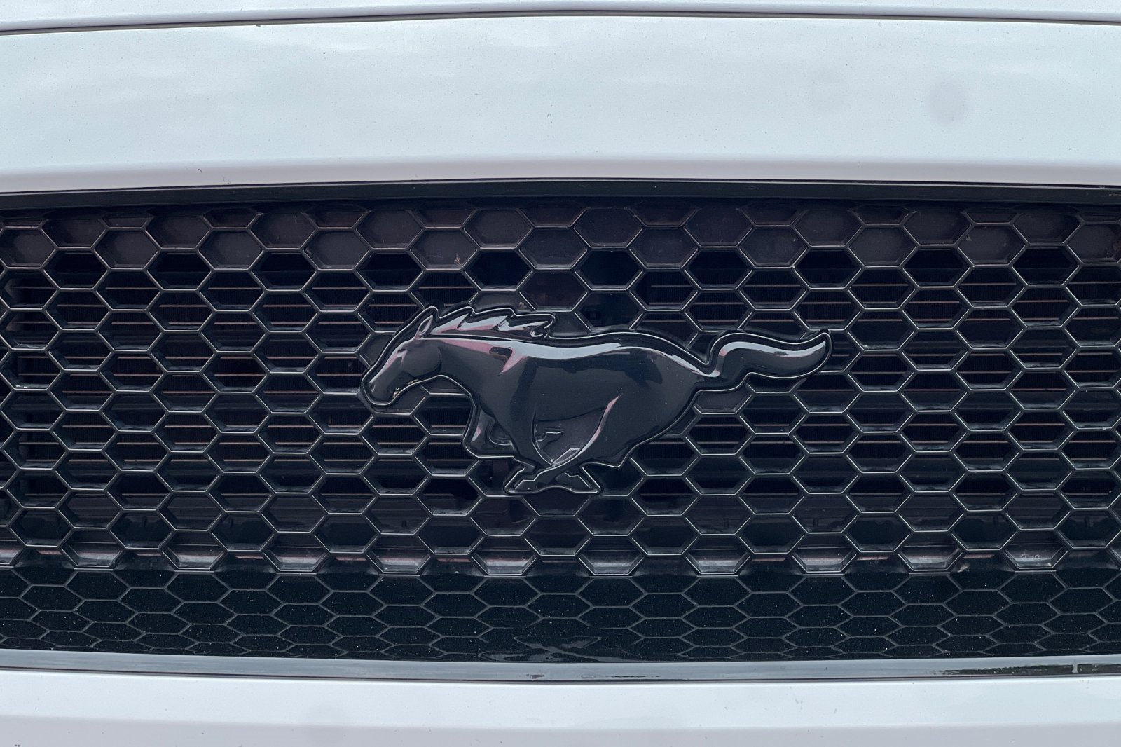 Used 2018 Ford Mustang GT Premium w/ Safe & Smart Package image 37