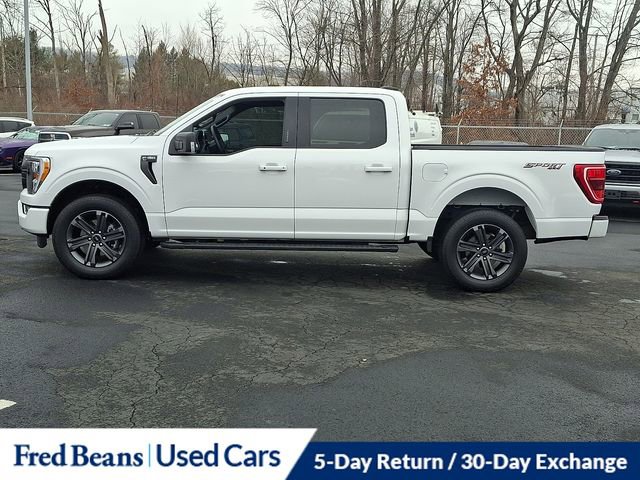 Certified 2023 Ford F150 XLT w/ Equipment Group 302A High image 6