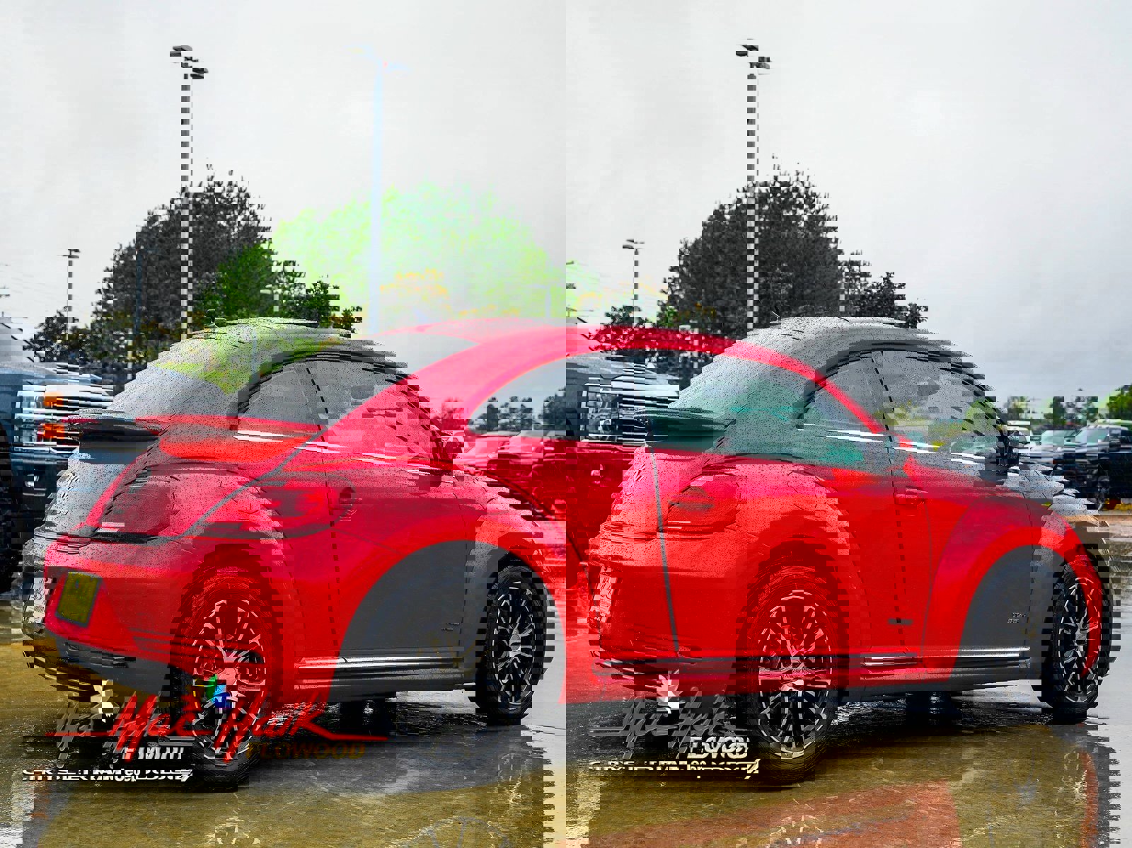 Used 2019 Volkswagen Beetle 2.0T SE image 6