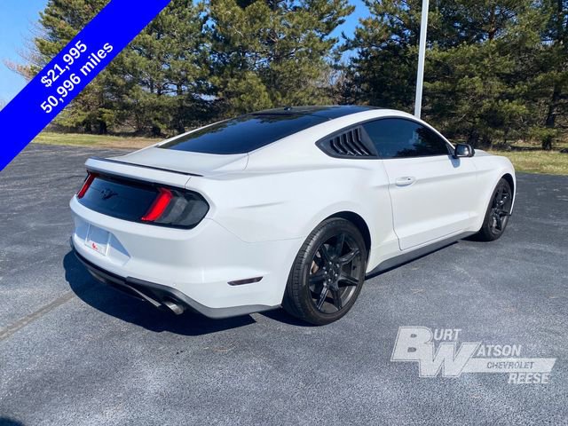 Used 2019 Ford Mustang Coupe w/ Equipment Group 101A image 8
