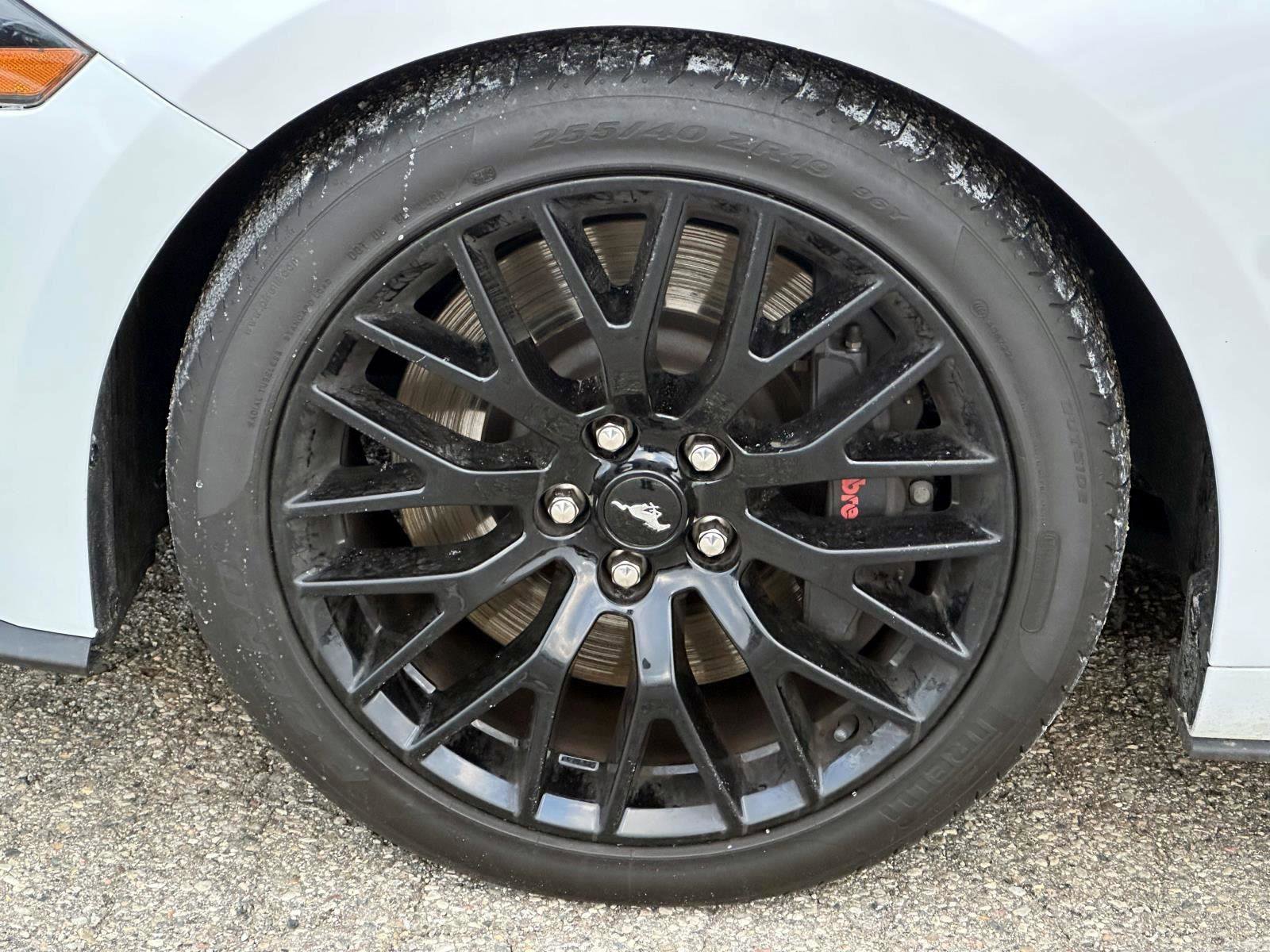 Used 2021 Ford Mustang GT Premium w/ GT Performance Package image 8