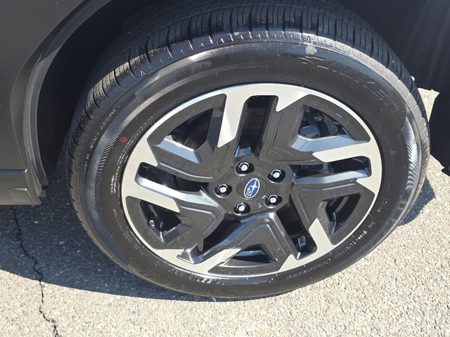 Certified 2025 Subaru Forester Premium image 6
