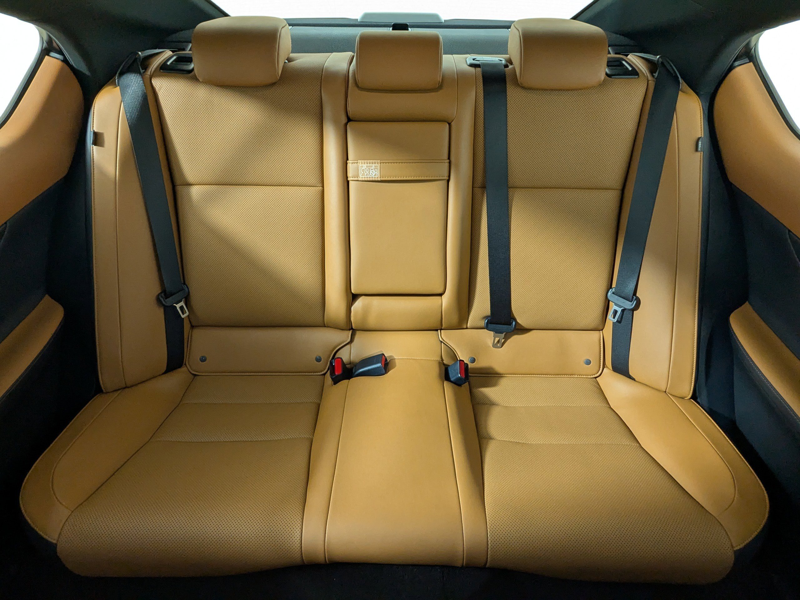 Used 2024 Lexus IS 300 w/ Comfort Package image 13