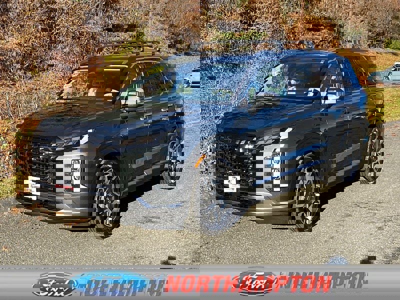Used 2024 Hyundai Palisade Limited image 1