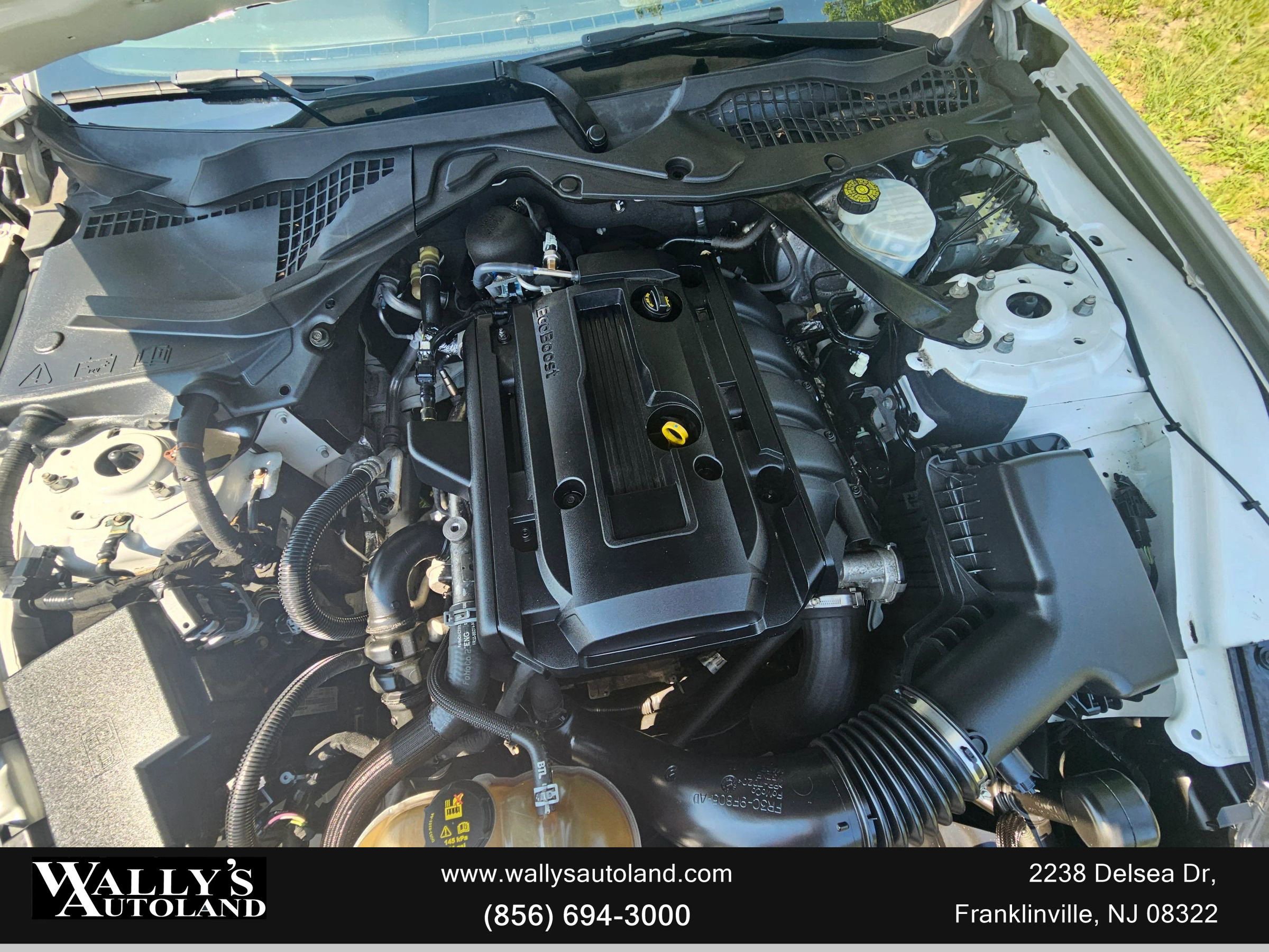 Used 2019 Ford Mustang Convertible image 15