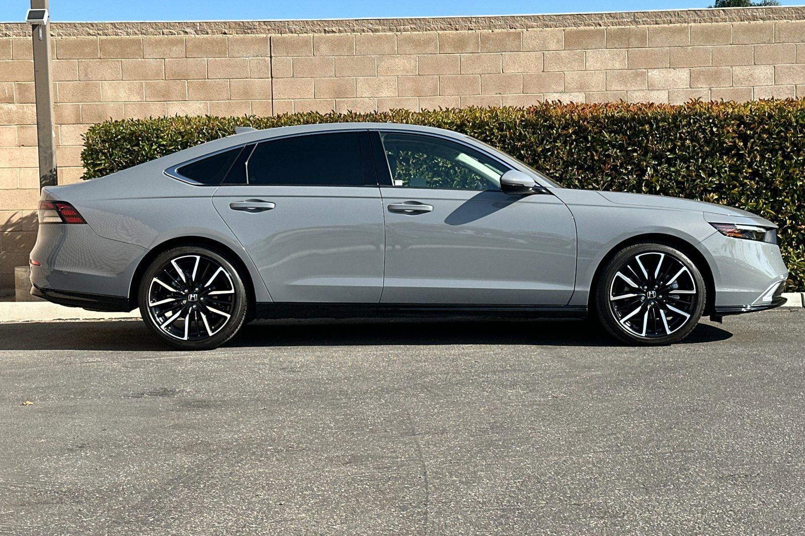 Used 2024 Honda Accord Touring image 3