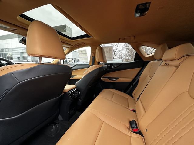 Used 2023 Lexus NX 350 AWD w/ Cold Area Package image 18