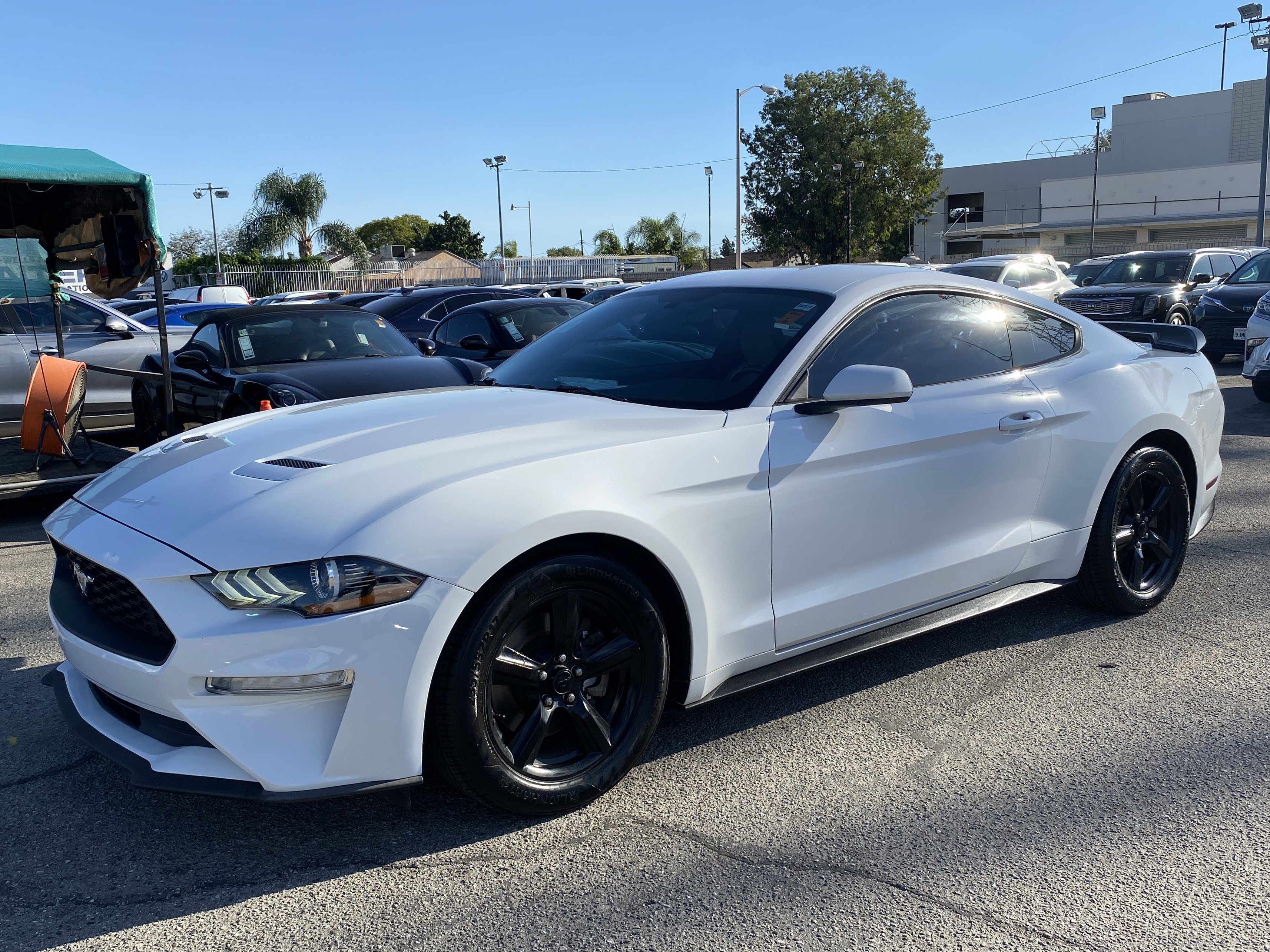 Used 2018 Ford Mustang Coupe RWD image 2