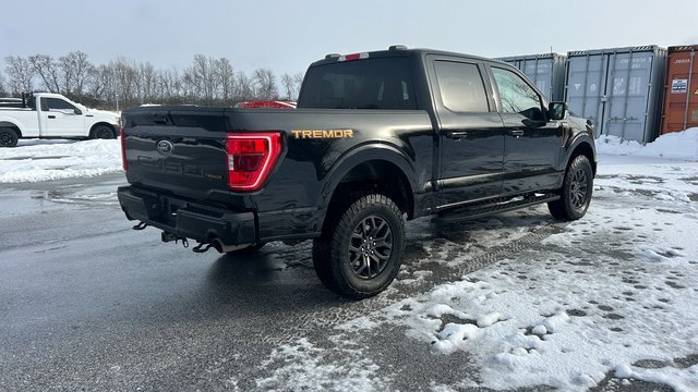 Used 2023 Ford F150 Tremor image 3