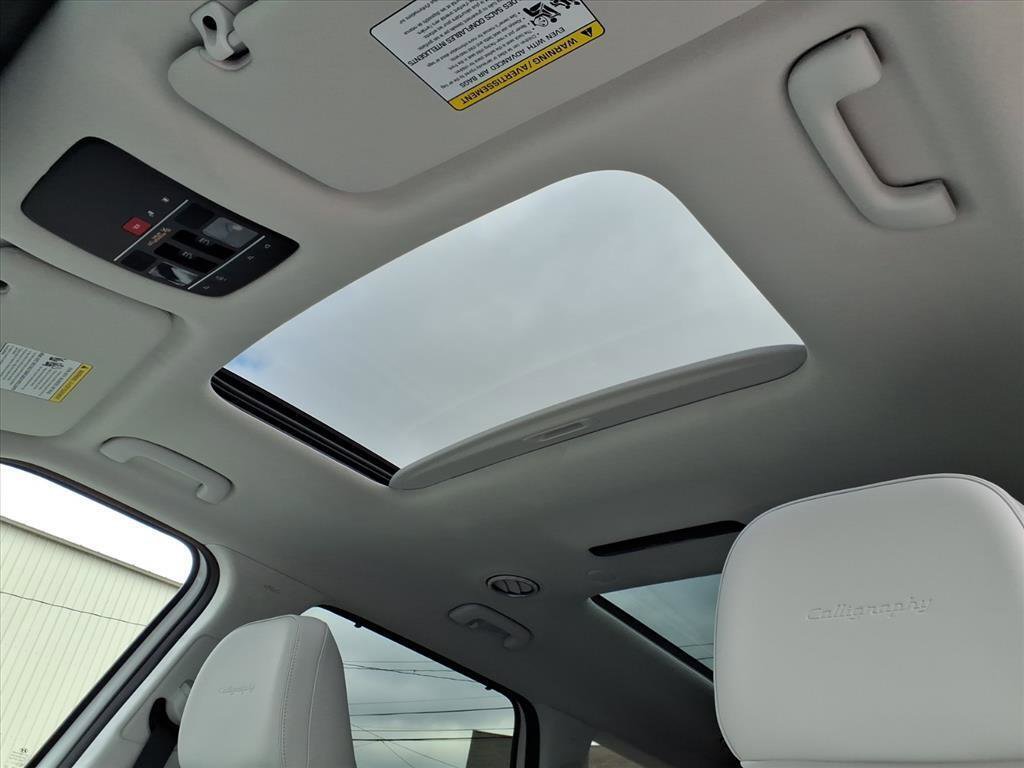 New 2026 Hyundai Palisade Calligraphy image 9