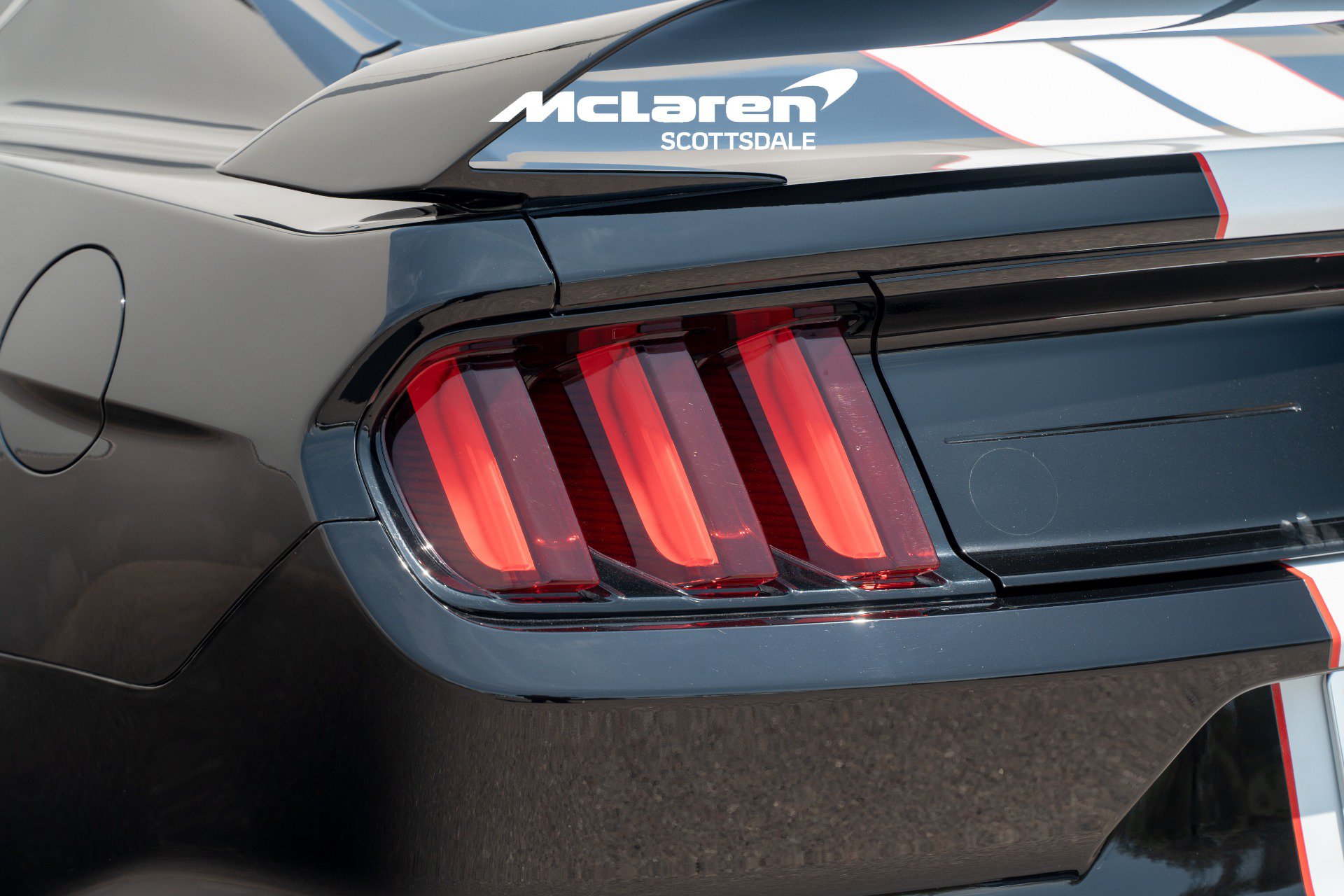 Used 2019 Ford Mustang Shelby GT350R w/ GT350R Equipment Group 920A RWD image 28
