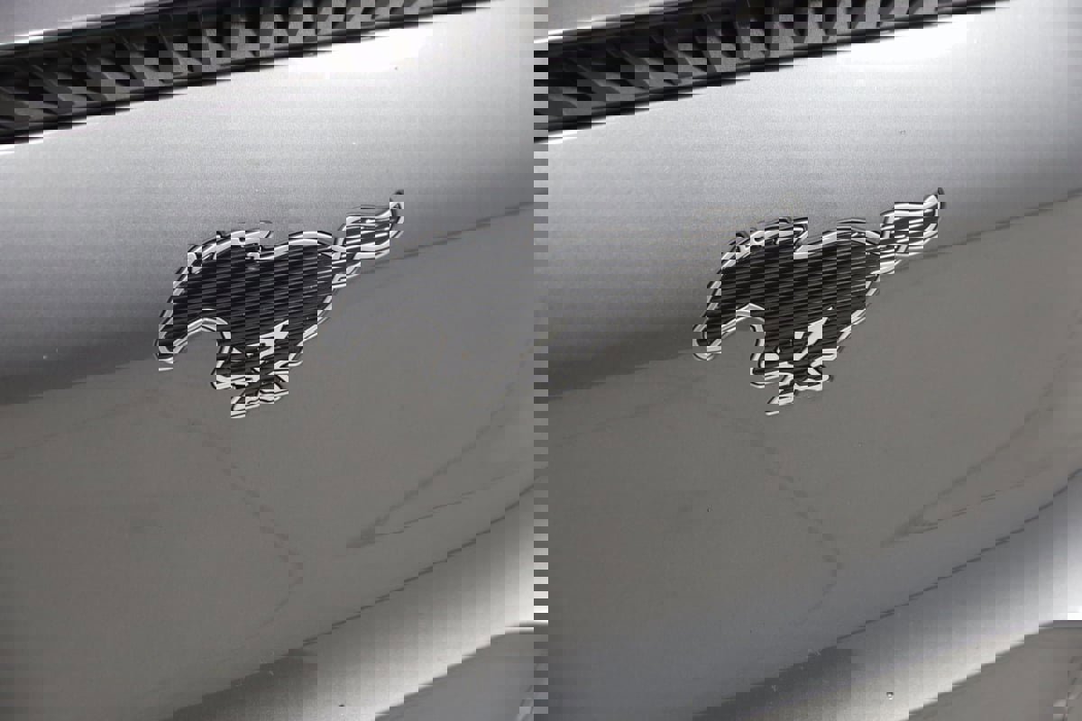 Used 2021 Ford Mustang Mach-E Select w/ Comfort/Appearance Package image 16