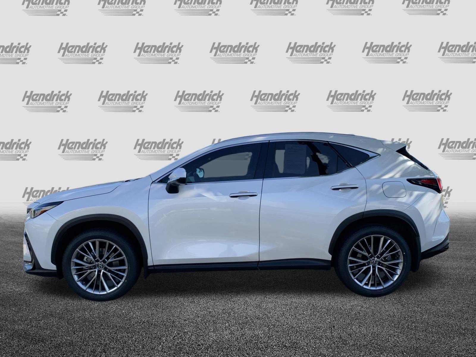 Certified 2025 Lexus NX 350 AWD w/ Cold Area Package image 7