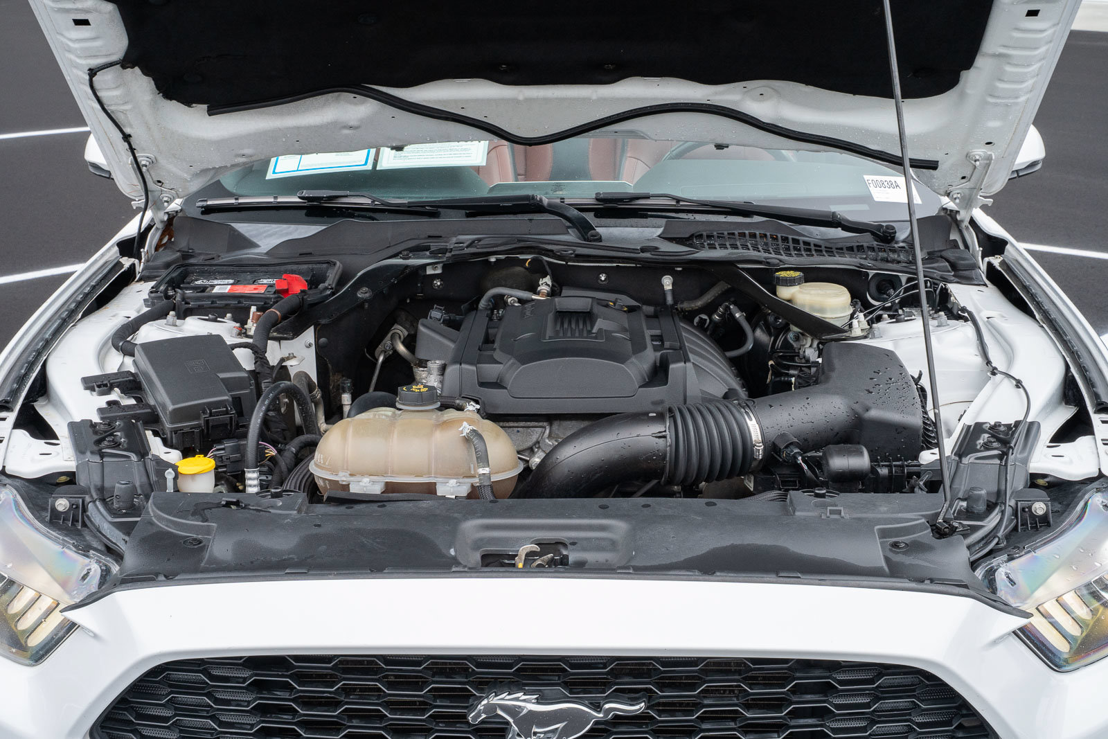 Used 2016 Ford Mustang Premium RWD image 26