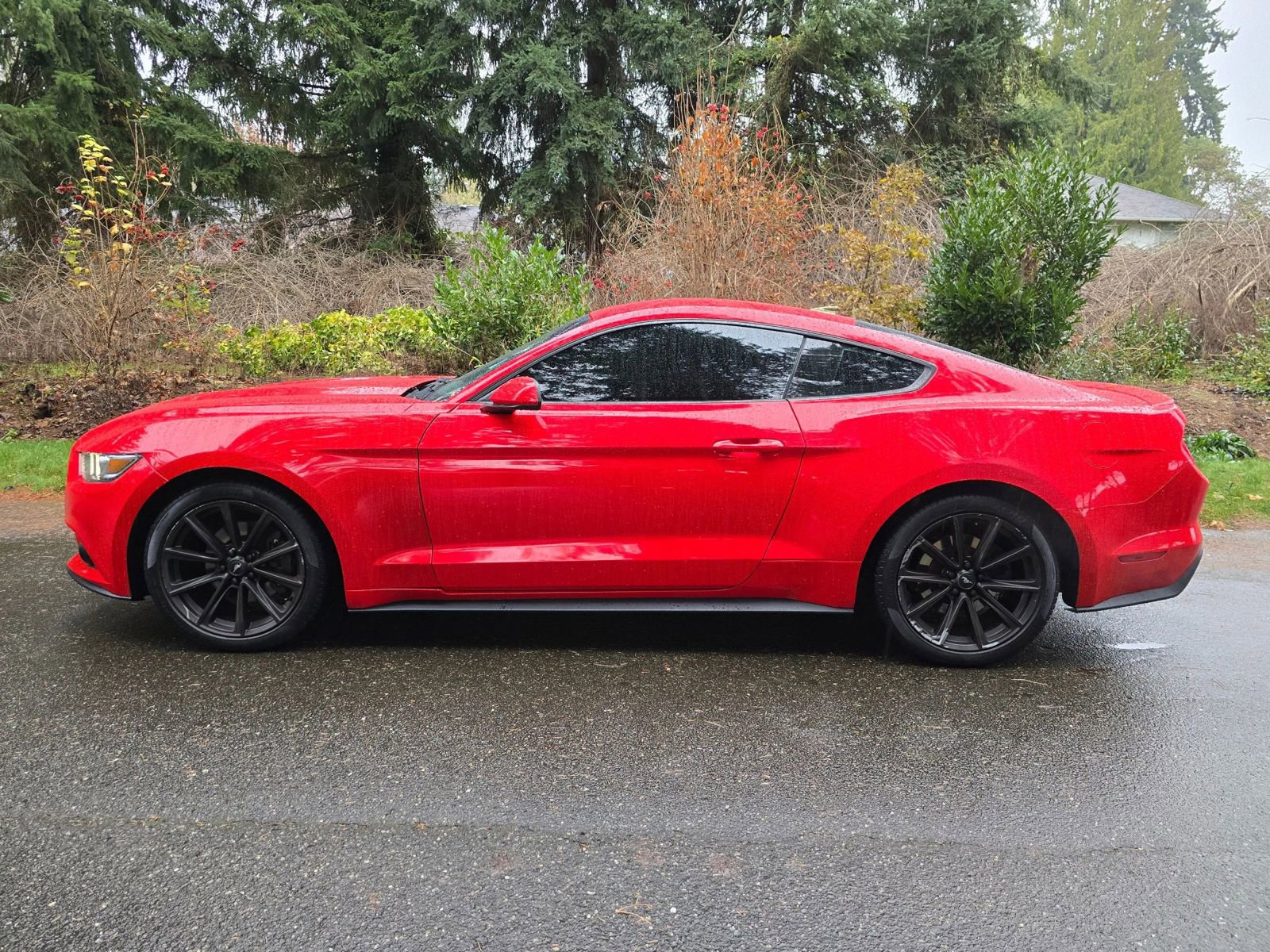 Used 2016 Ford Mustang Coupe image 2