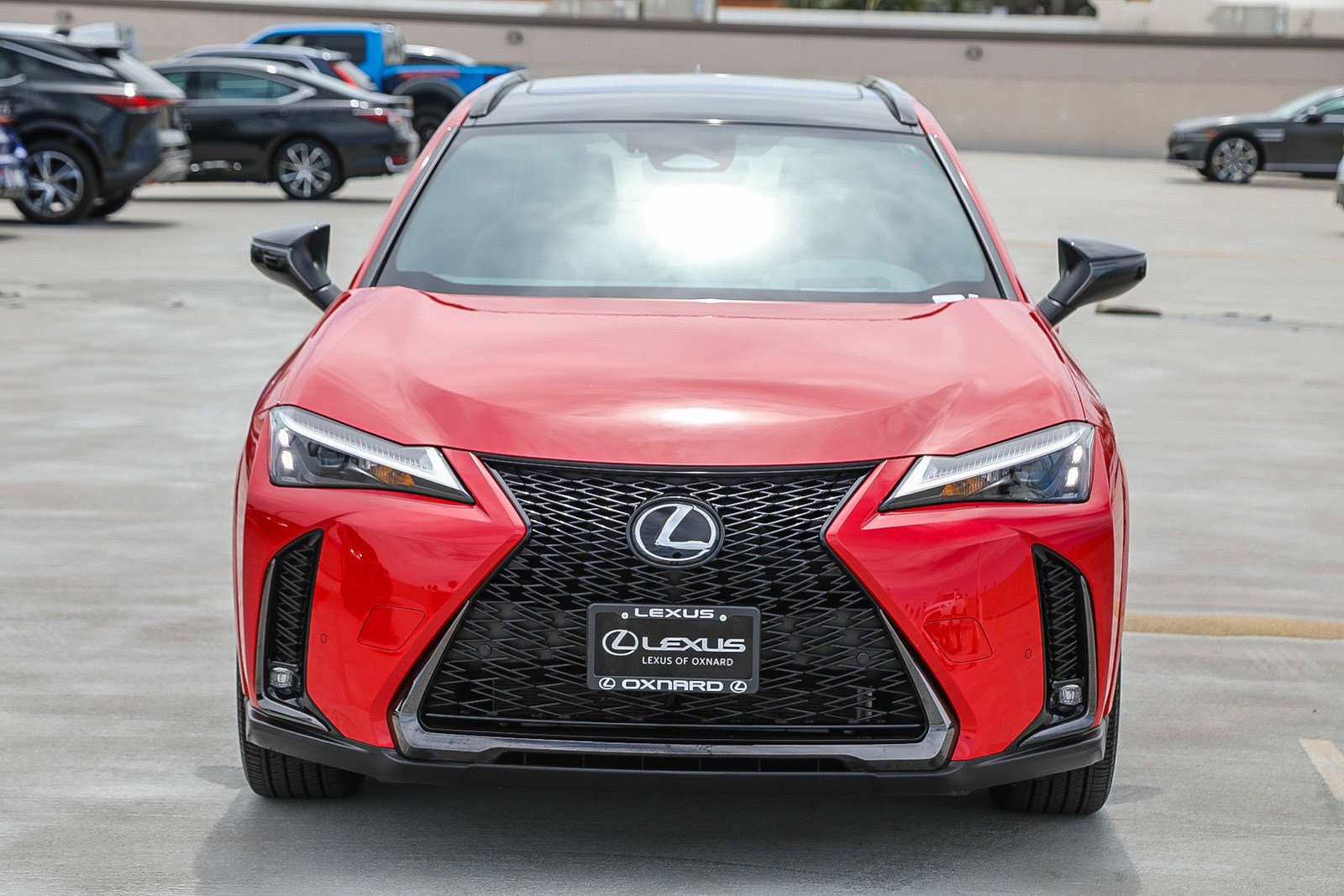 Used 2025 Lexus UX 300h AWD w/ Cold Area Package image 2