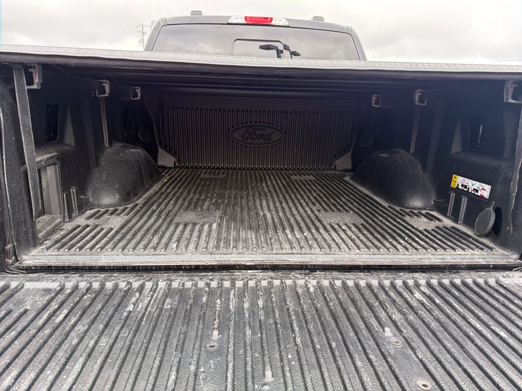 Used 2023 Ford F150 XLT w/ Equipment Group 302A High AWD/4WD image 22