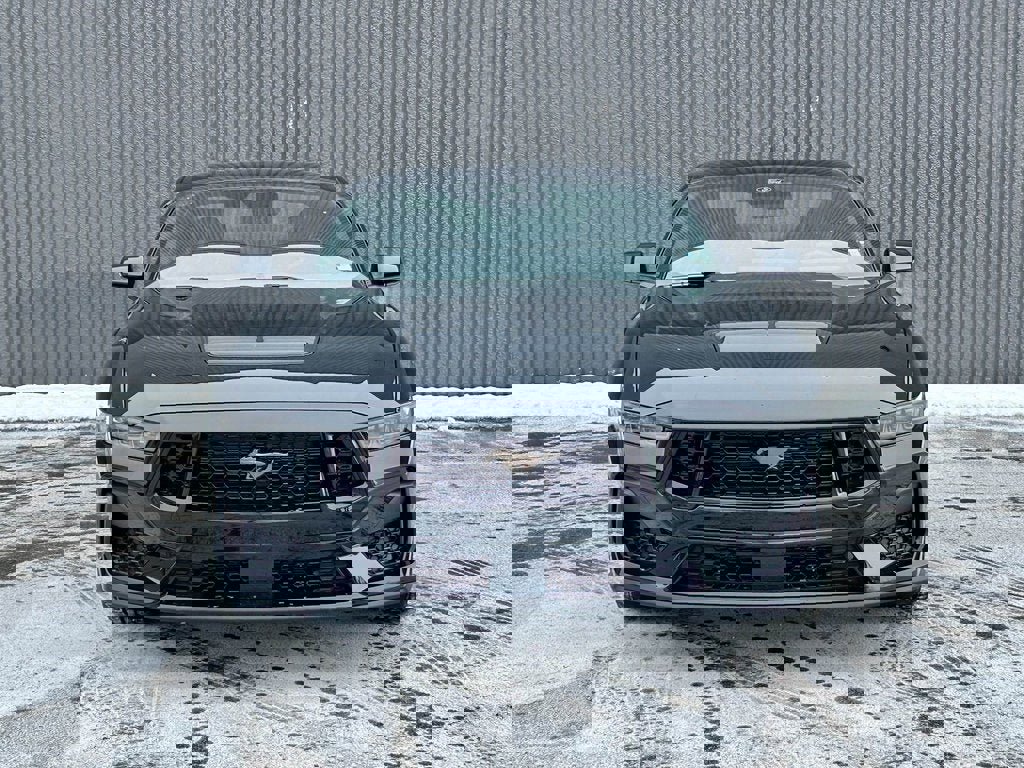 New 2026 Ford Mustang GT image 8