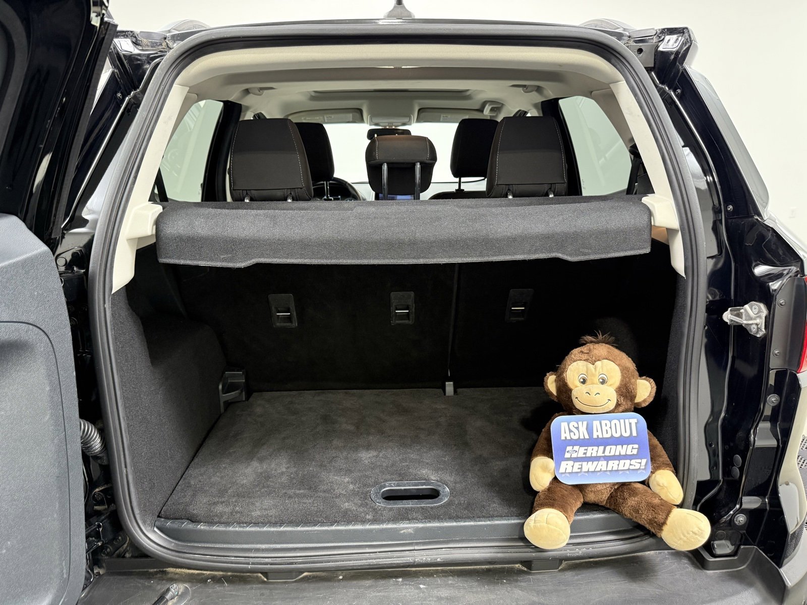 Used 2020 Ford EcoSport SE w/ SE Convenience Package image 11