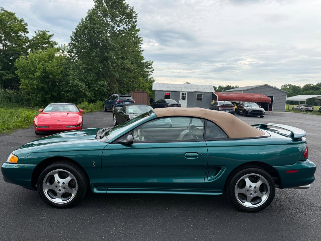 Used 1997 Ford Mustang Cobra RWD image 6