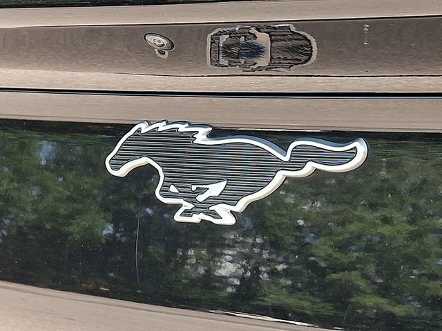 Used 2022 Ford Mustang Mach-E Select AWD/4WD image 34