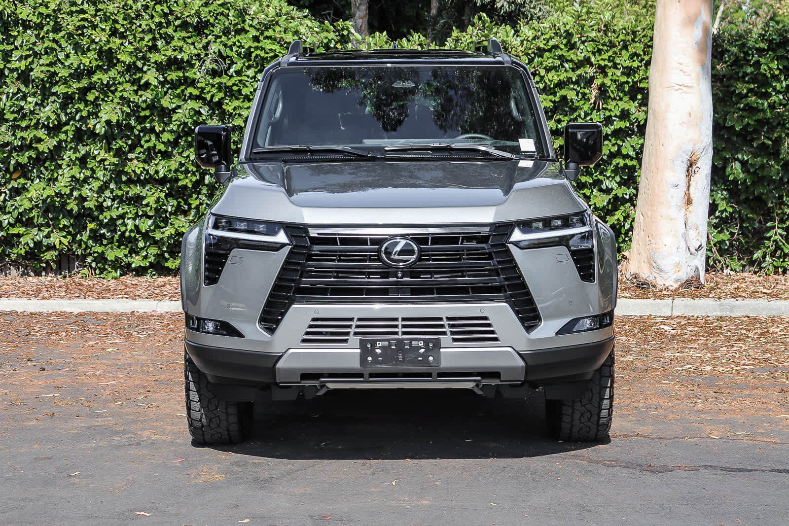 Used 2025 Lexus GX 550 AWD/4WD image 2
