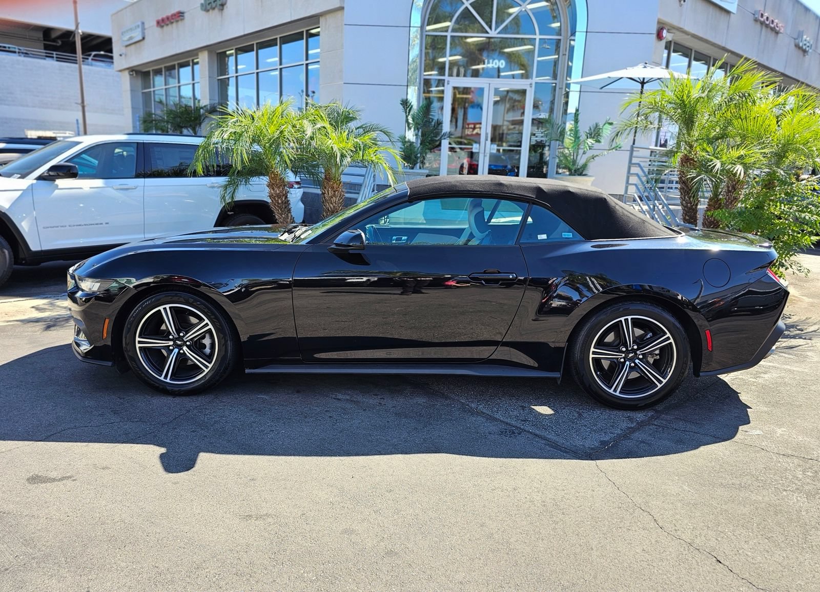 Used 2024 Ford Mustang Premium RWD image 4