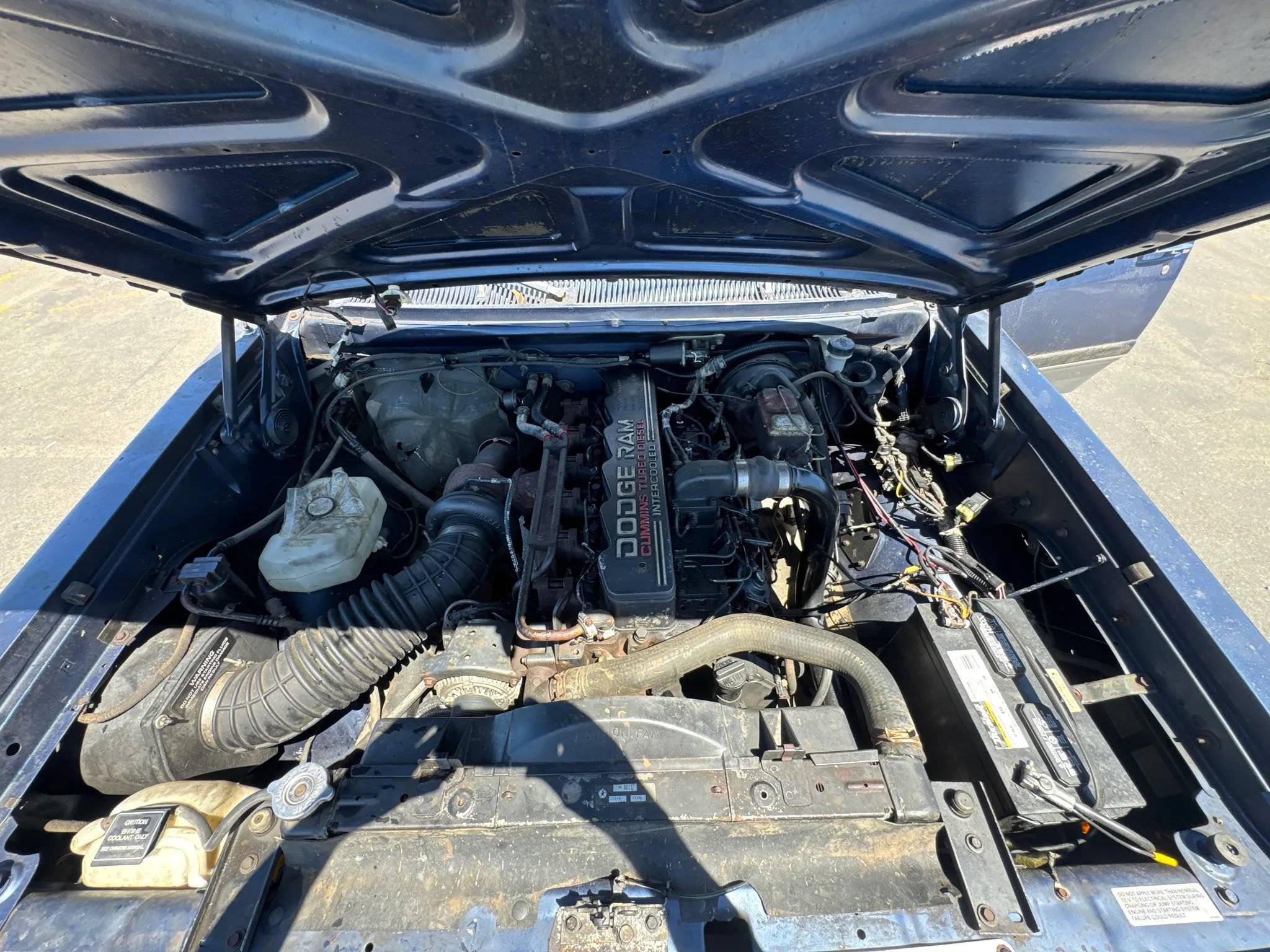 Used 1993 Dodge D/W Truck 250 AWD/4WD image 12