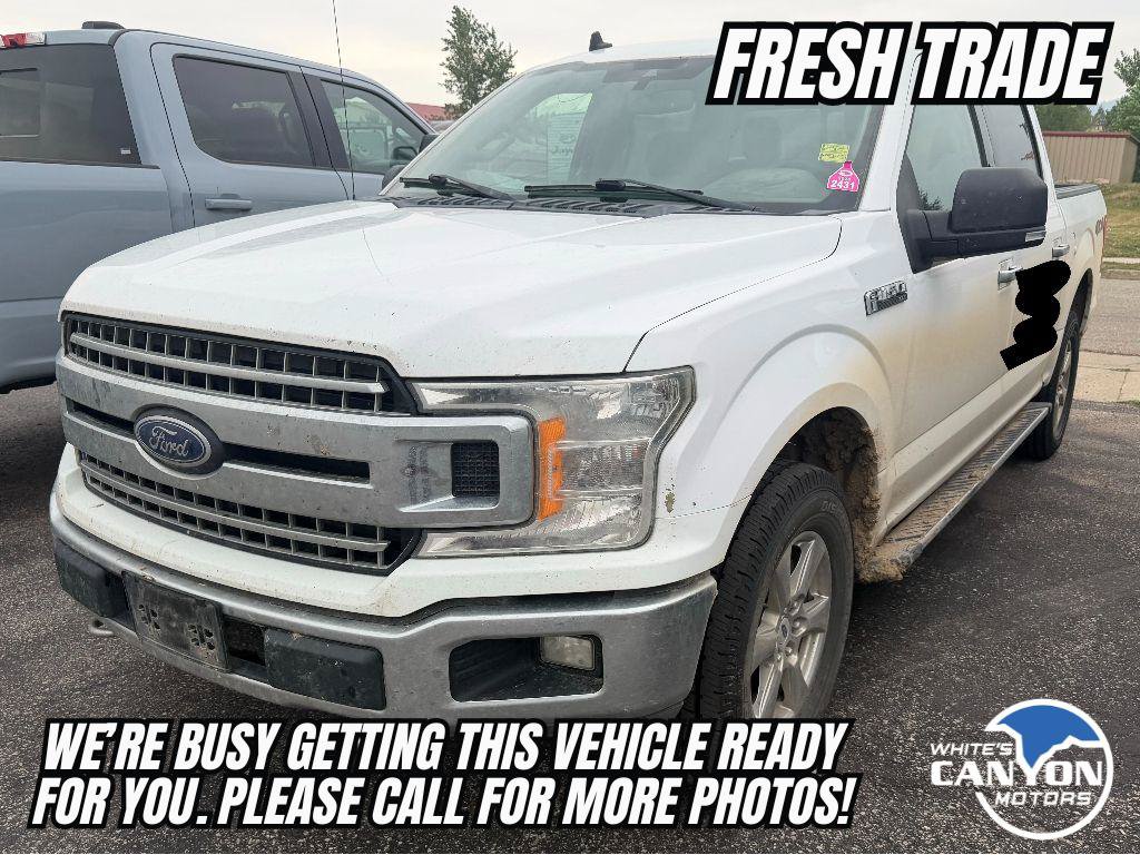 Used 2019 Ford F150 XLT w/ Equipment Group 302A Luxury AWD/4WD image 2