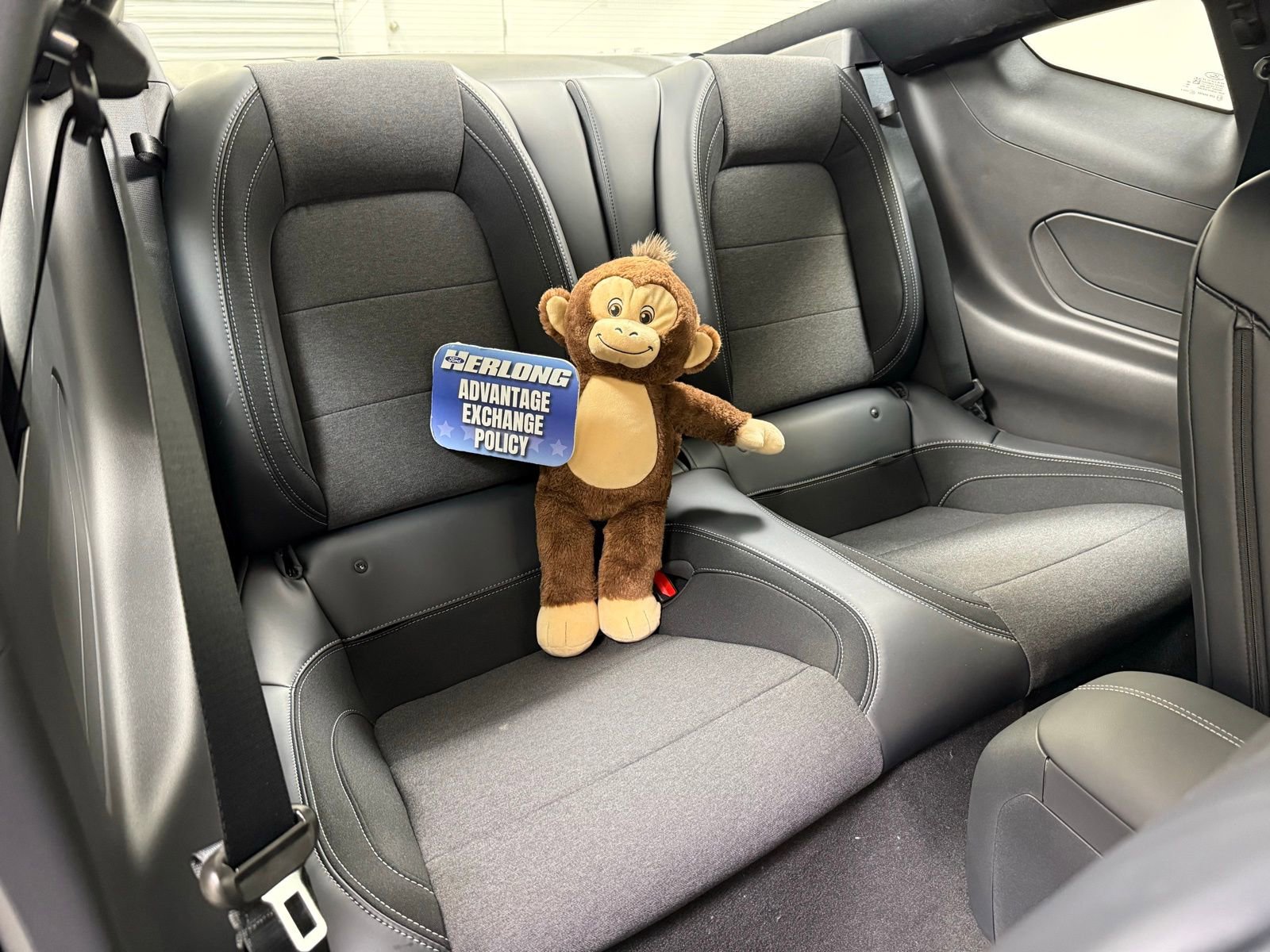 New 2026 Ford Mustang Coupe image 25