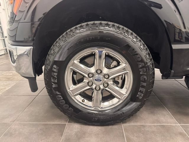 Used 2025 Ford F150 XLT w/ Equipment Group 301A Standard AWD/4WD image 22