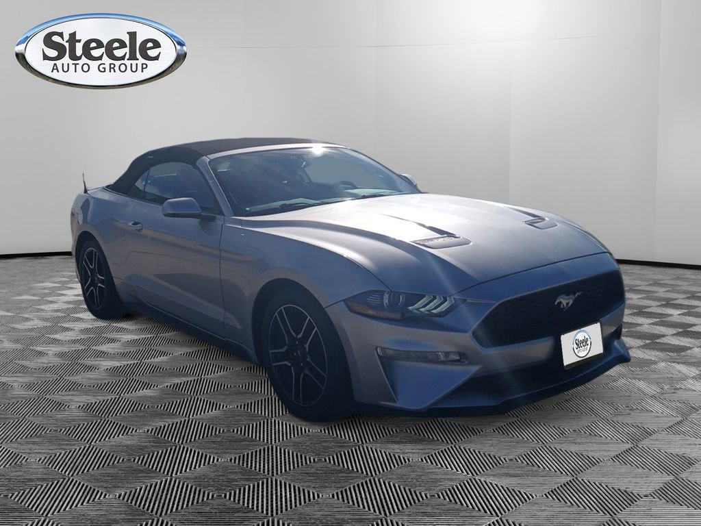 Used 2019 Ford Mustang Premium image 7